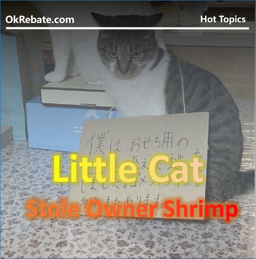 A Japanese owner recently discovered the cat had indulged in delicious shrimp, prompting an immediate "arrest" and the display of a sign listing its crimes,